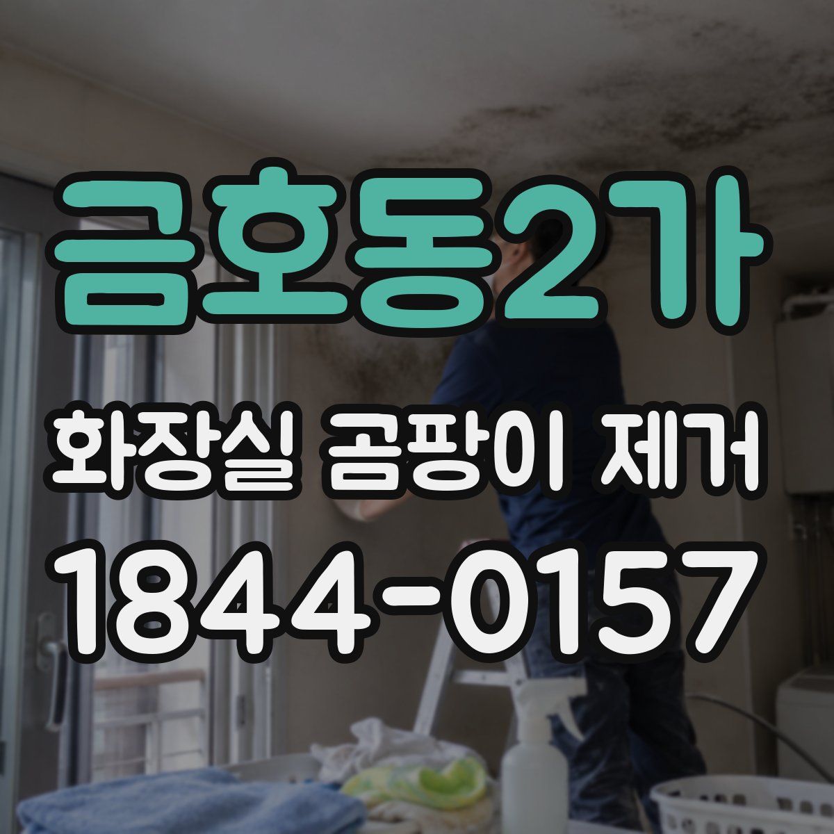 금호동2가 화장실 곰팡이 제거