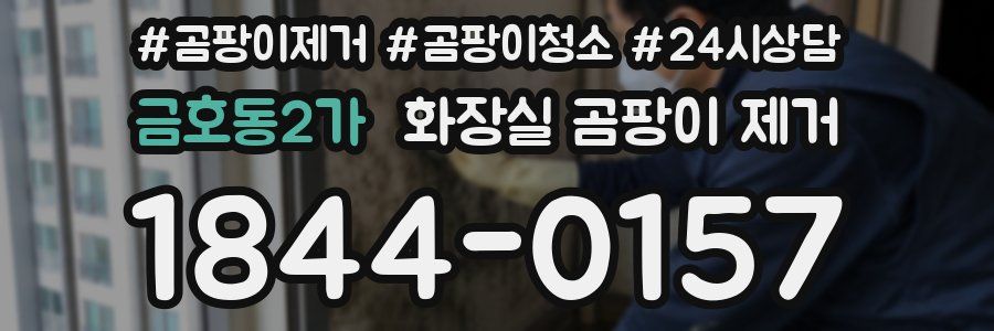 금호동2가 화장실 곰팡이 제거