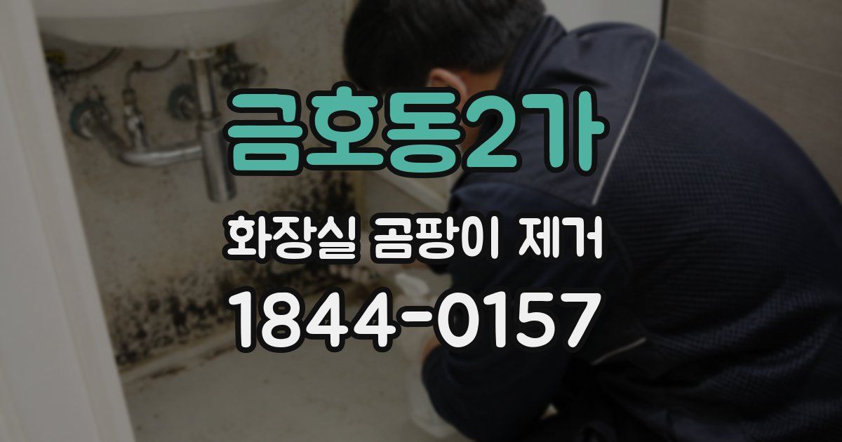 금호동2가 화장실 곰팡이 제거