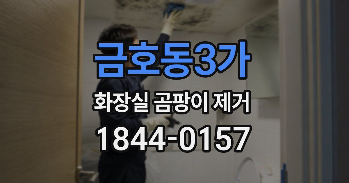 금호동3가 화장실 곰팡이 제거