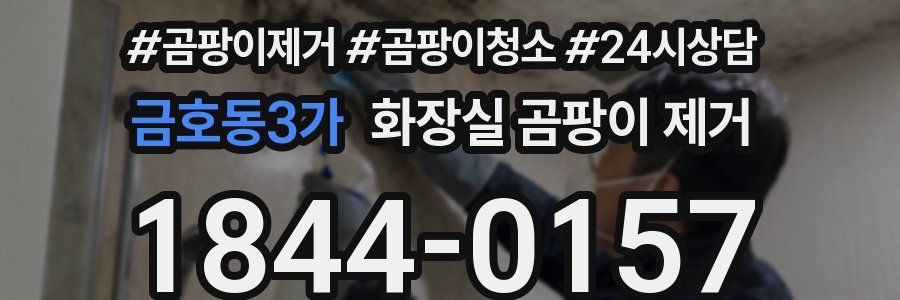 금호동3가 화장실 곰팡이 제거