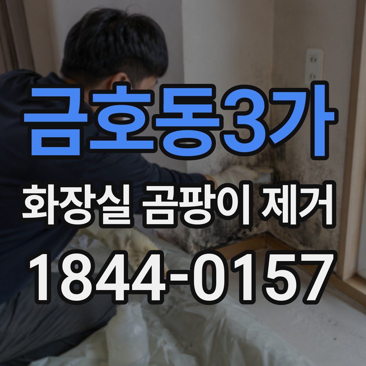 금호동3가 화장실 곰팡이 제거
