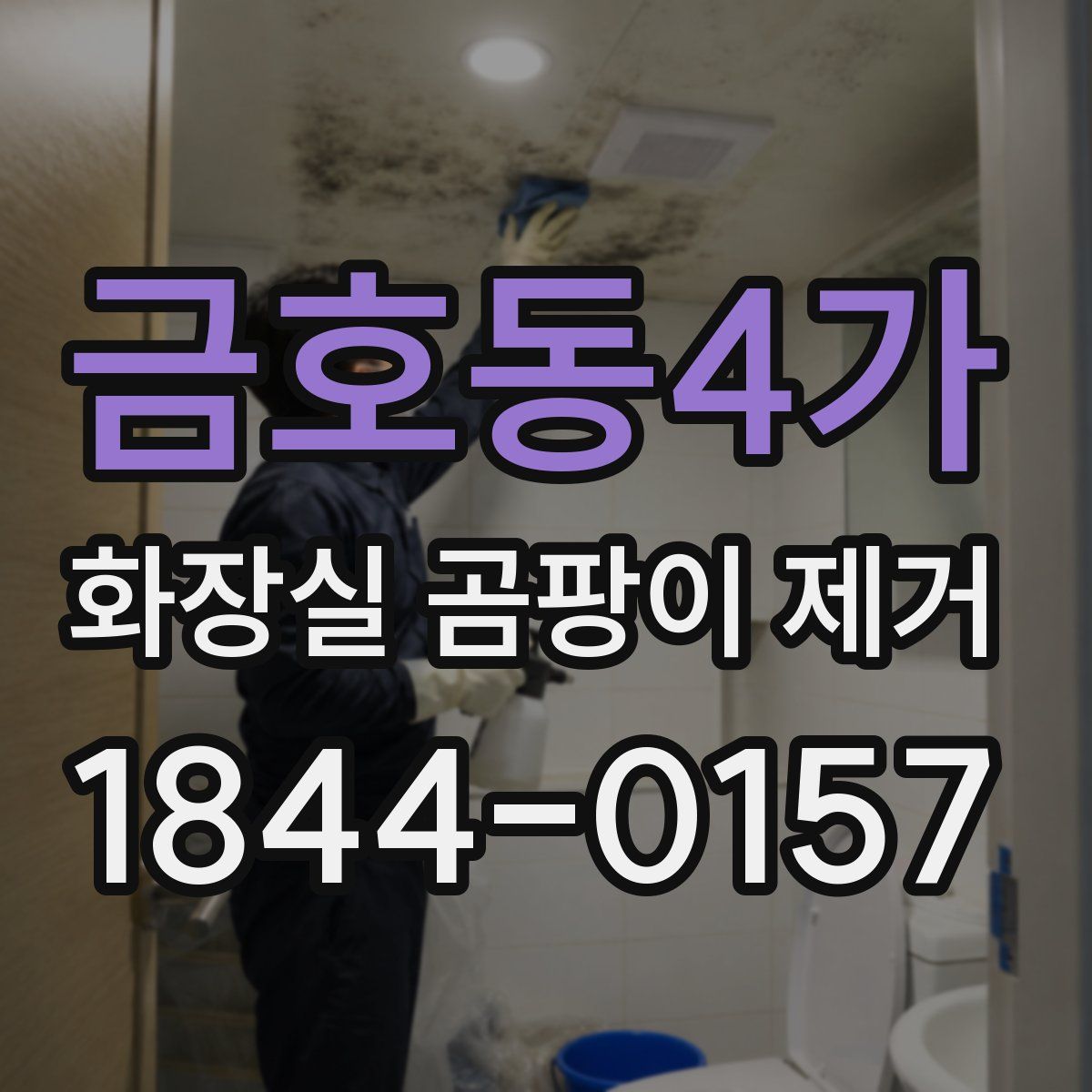 금호동4가 화장실 곰팡이 제거