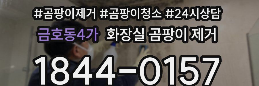 금호동4가 화장실 곰팡이 제거