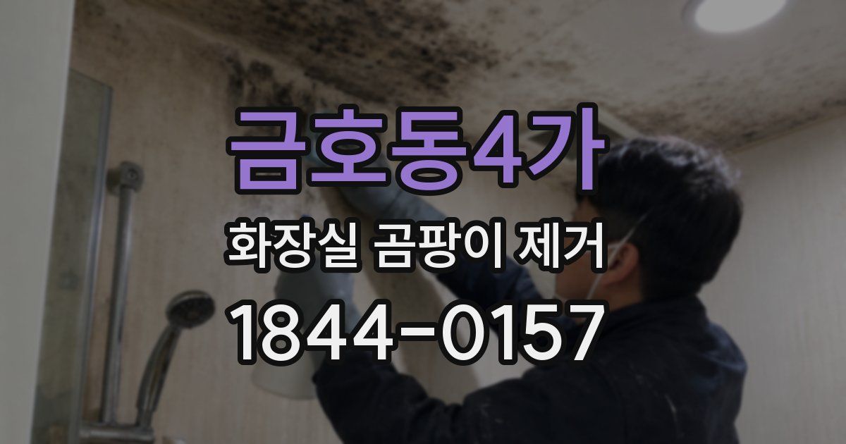 금호동4가 화장실 곰팡이 제거