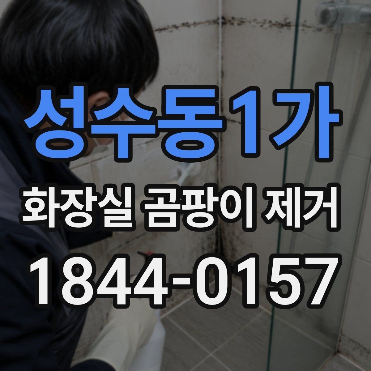 성수동1가 화장실 곰팡이 제거 전 벽면과 줄눈 상태를 먼저 보는 이유