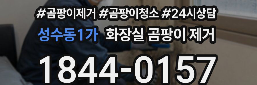 성수동1가 화장실 곰팡이 제거