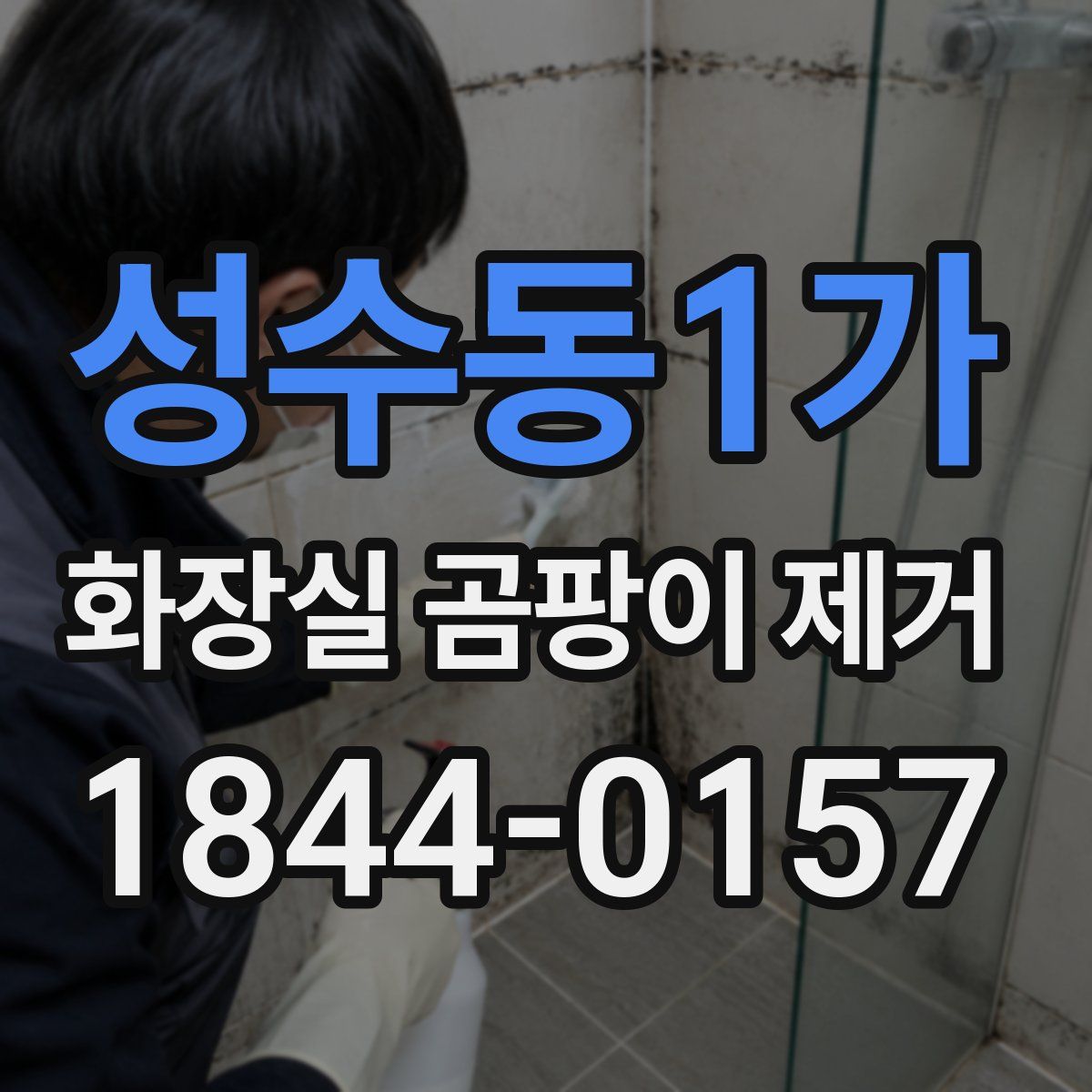 성수동1가 화장실 곰팡이 제거