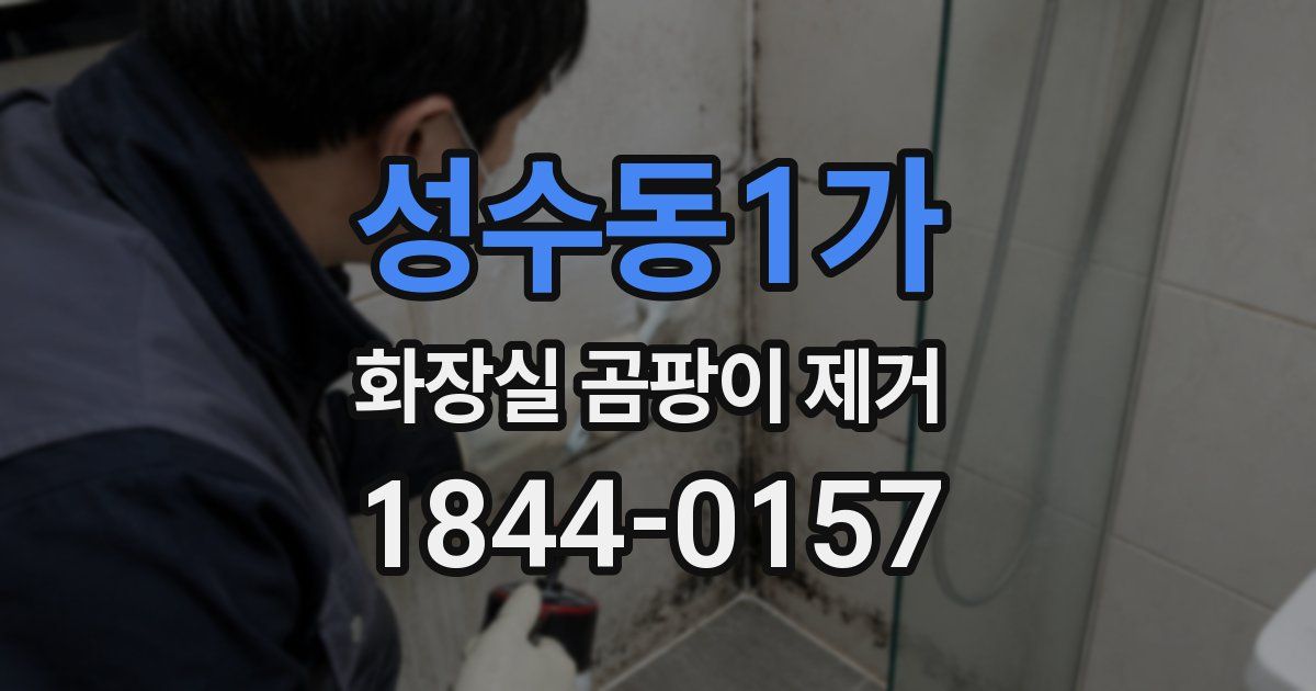 성수동1가 화장실 곰팡이 제거