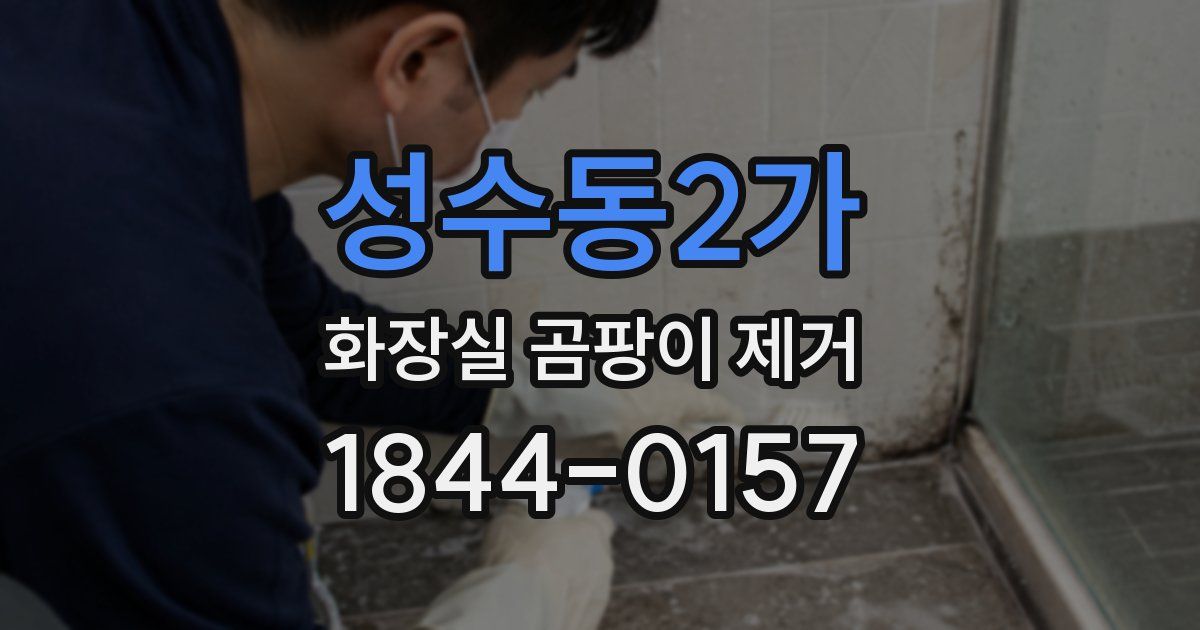 성수동2가 화장실 곰팡이 제거