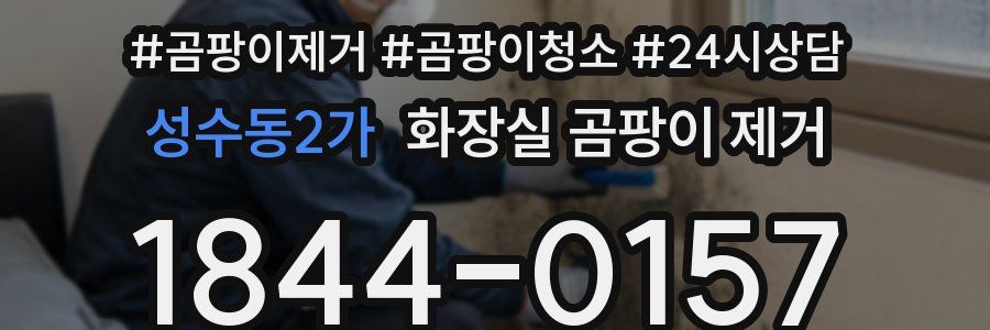 성수동2가 화장실 곰팡이 제거