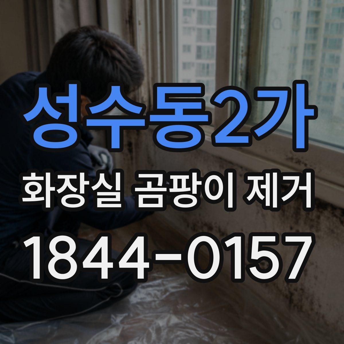 성수동2가 화장실 곰팡이 제거