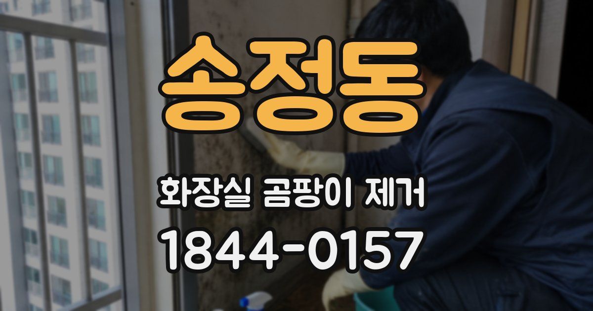 송정동 화장실 곰팡이 제거