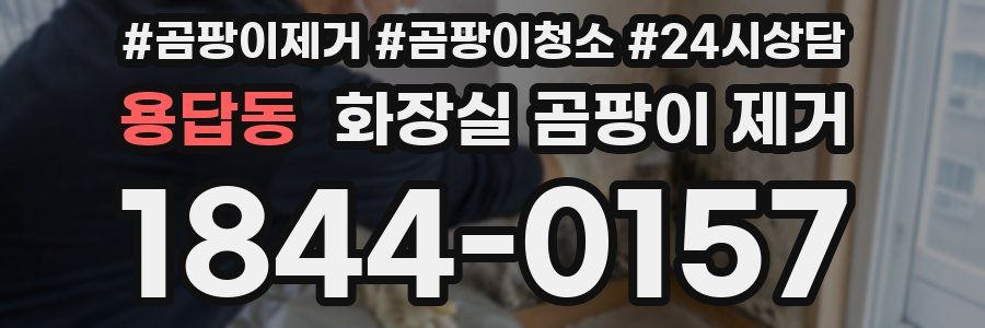 용답동 화장실 곰팡이 제거