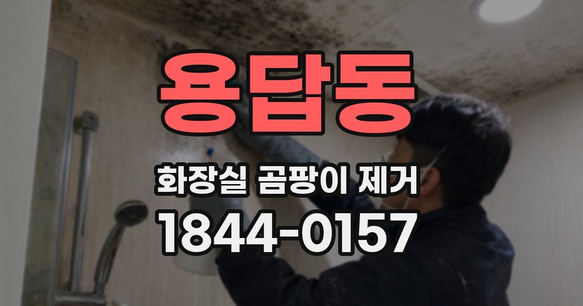 용답동 화장실 곰팡이 제거