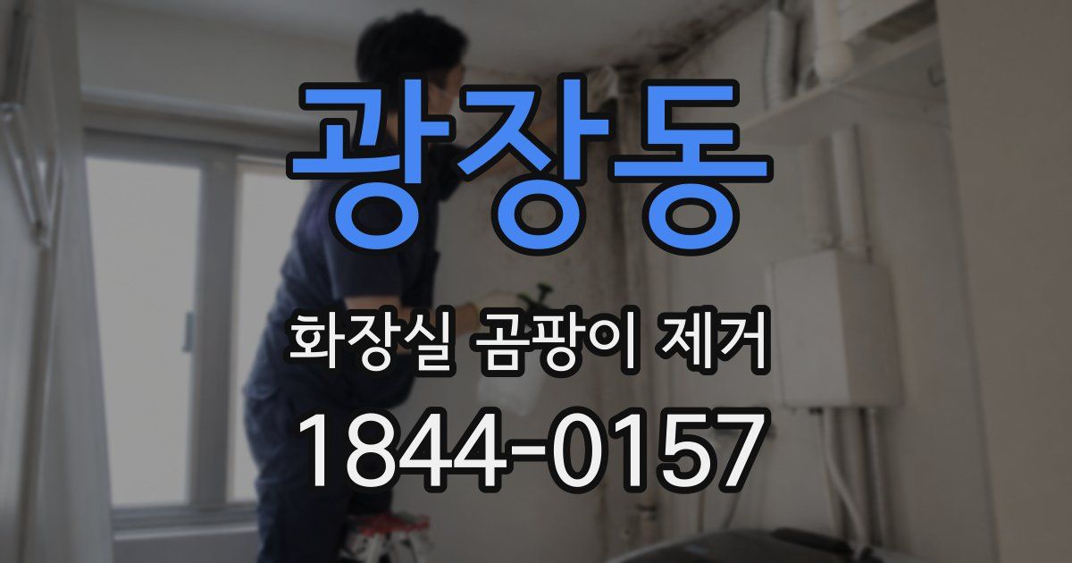광장동 화장실 곰팡이 제거