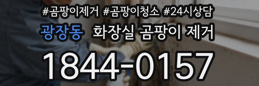 광장동 화장실 곰팡이 제거
