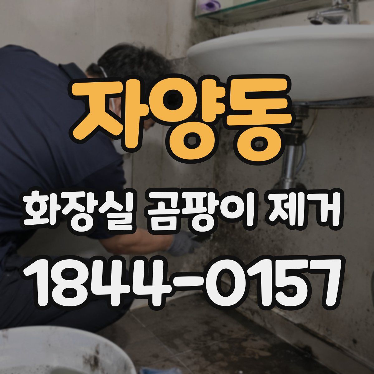 자양동 화장실 곰팡이 제거