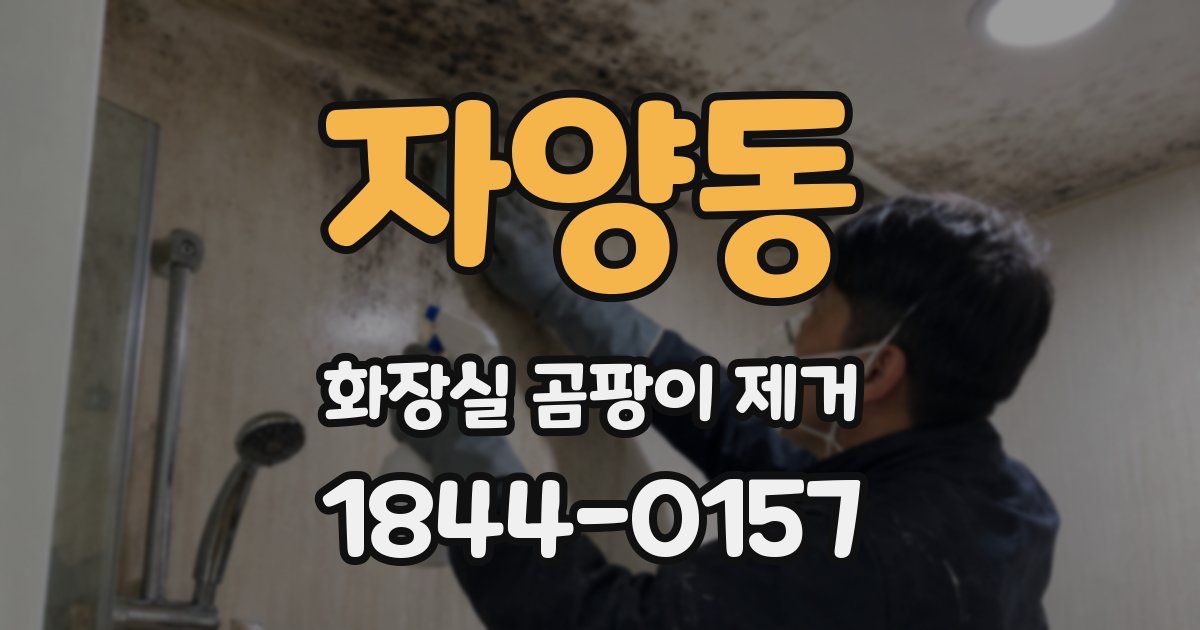 자양동 화장실 곰팡이 제거