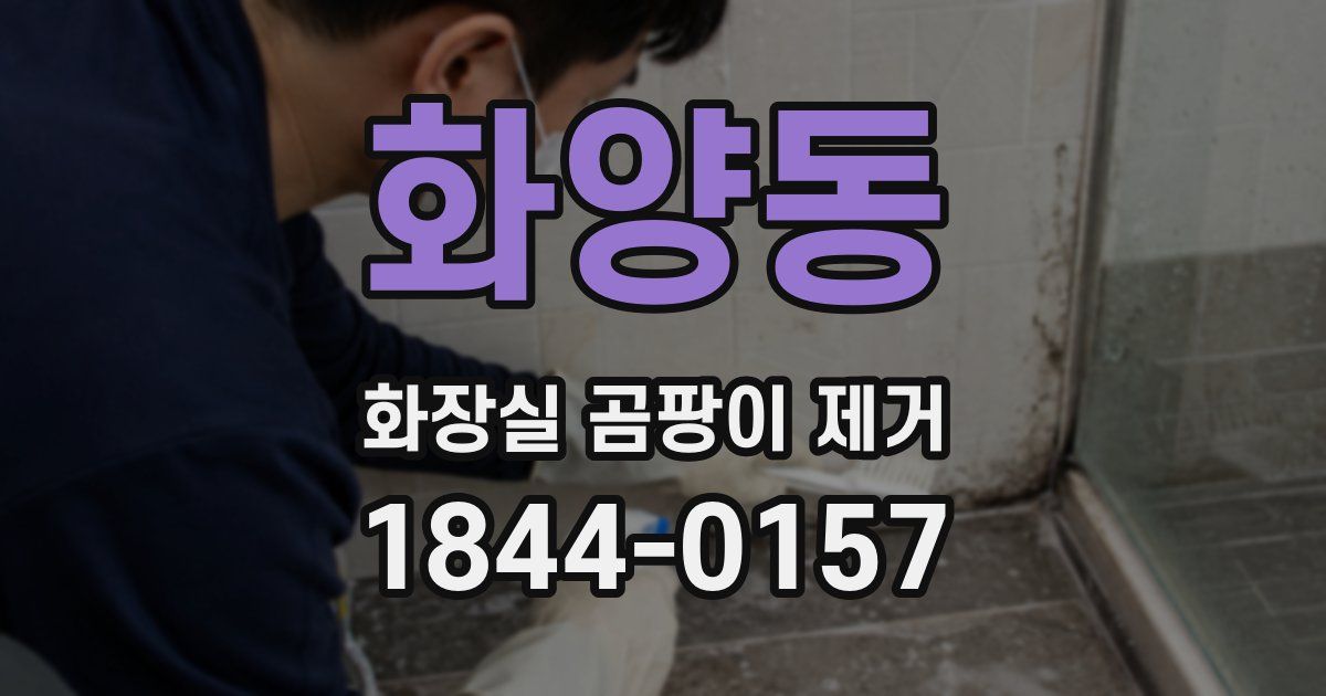 화양동 화장실 곰팡이 제거