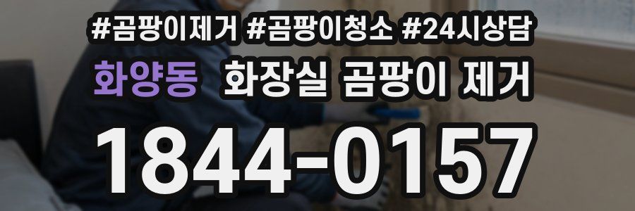 화양동 화장실 곰팡이 제거