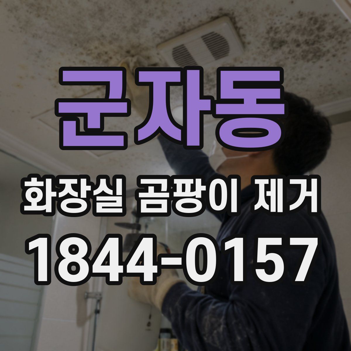 군자동 화장실 곰팡이 제거