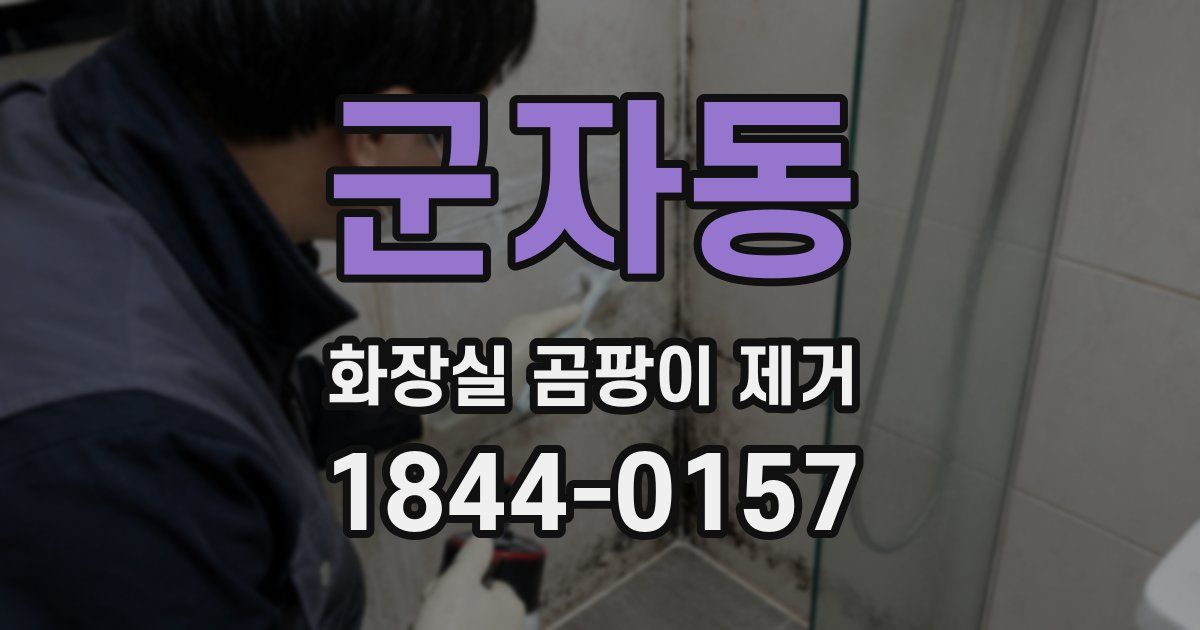 군자동 화장실 곰팡이 제거