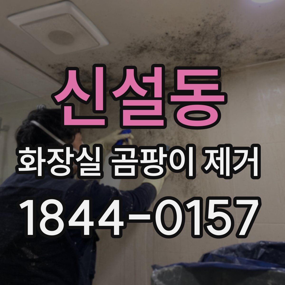 신설동 화장실 곰팡이 제거