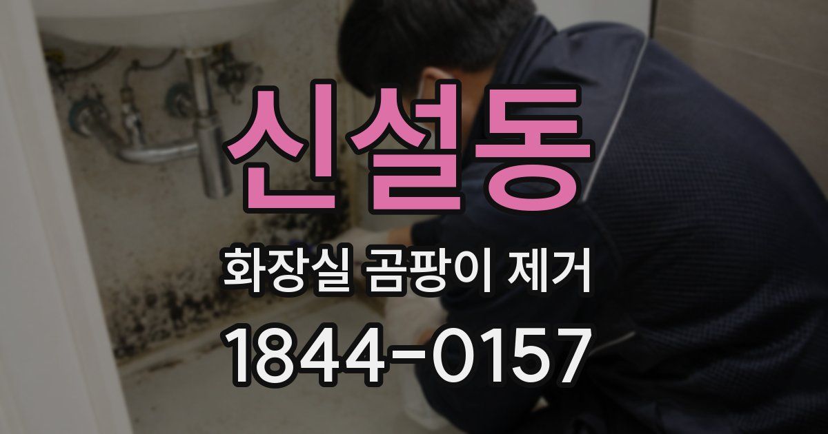 신설동 화장실 곰팡이 제거