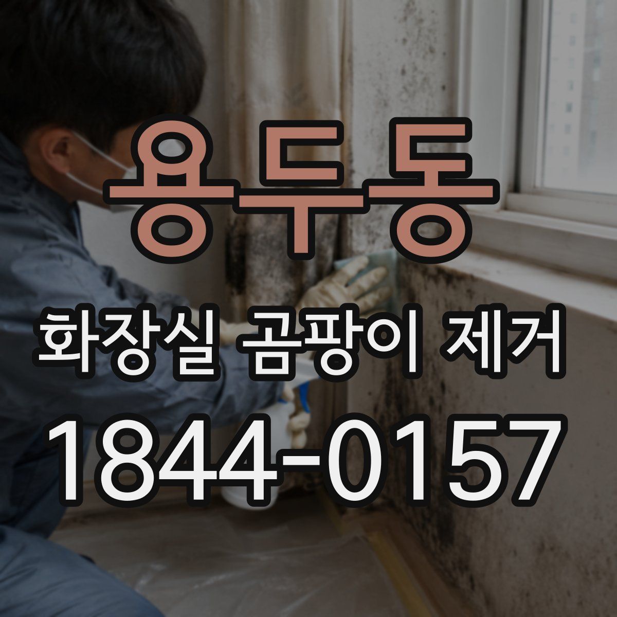 용두동 화장실 곰팡이 제거