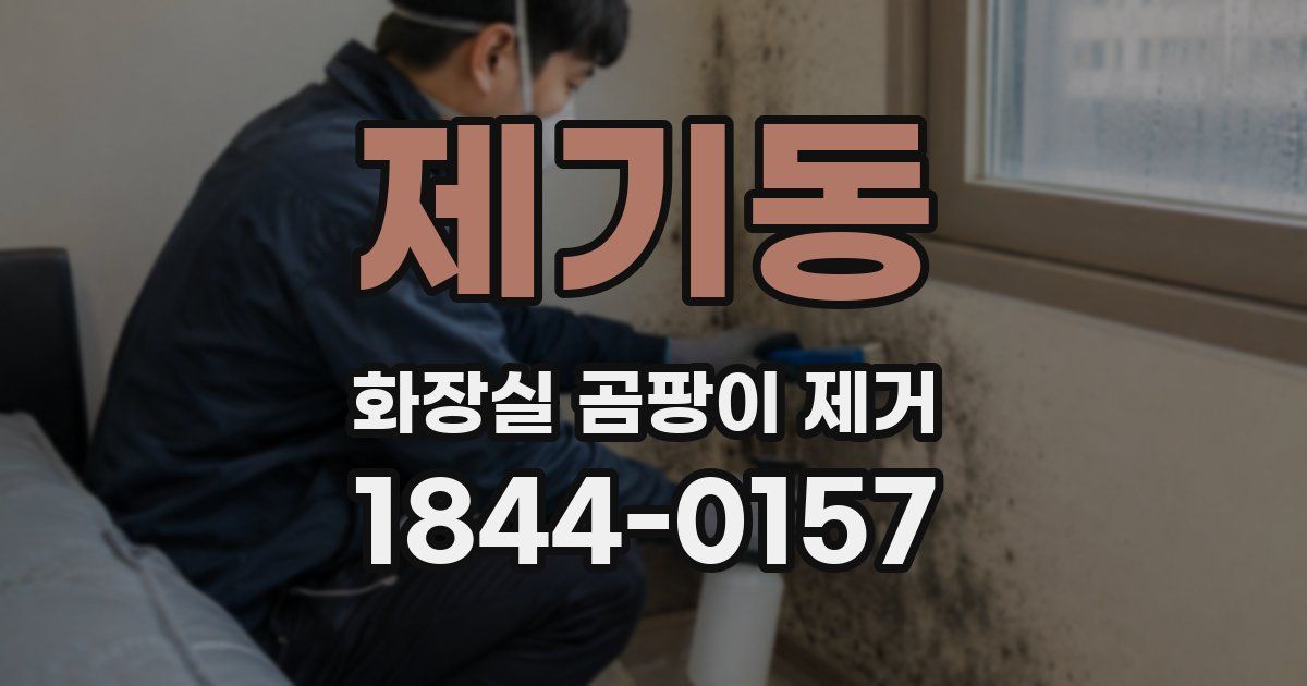 제기동 화장실 곰팡이 제거