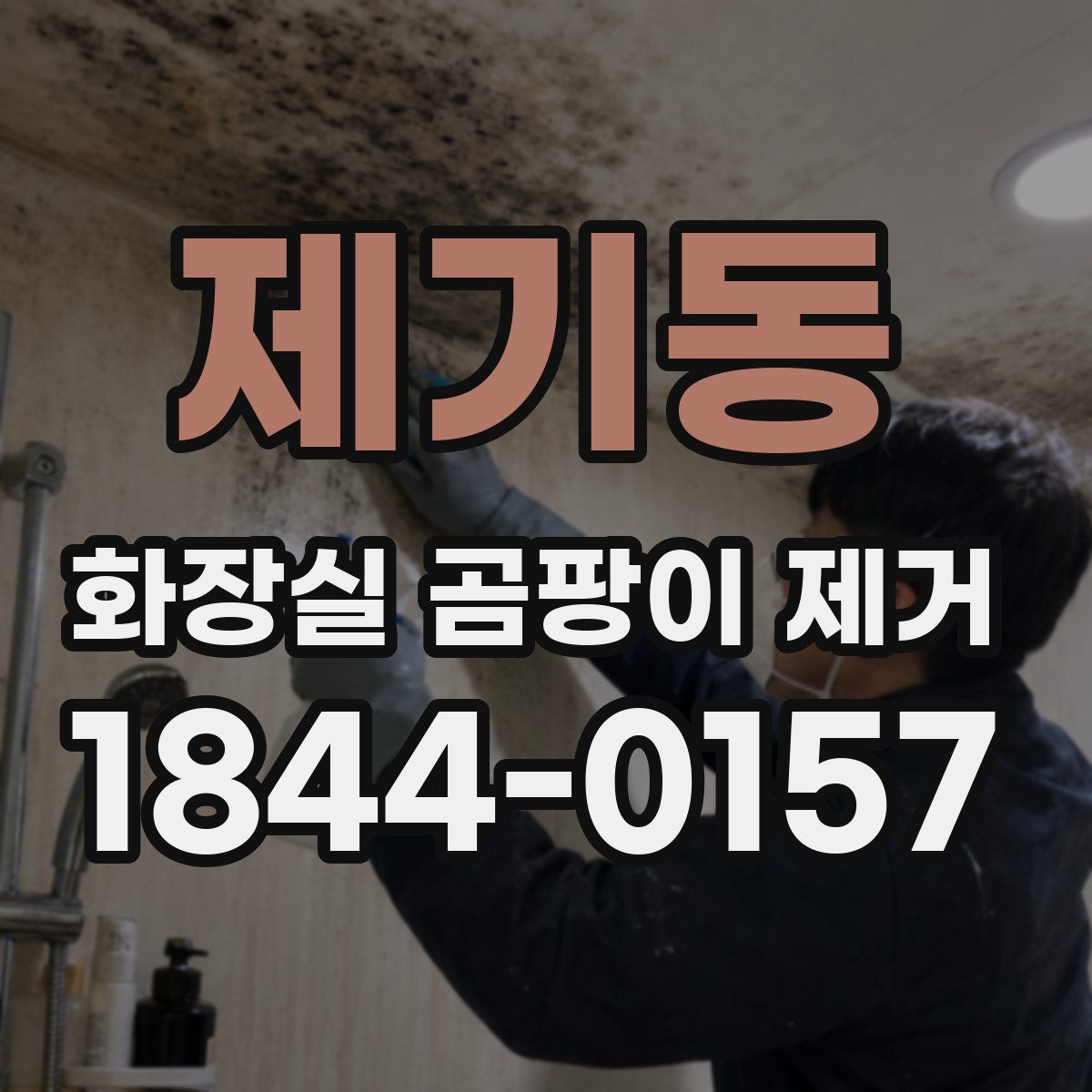 제기동 화장실 곰팡이 제거