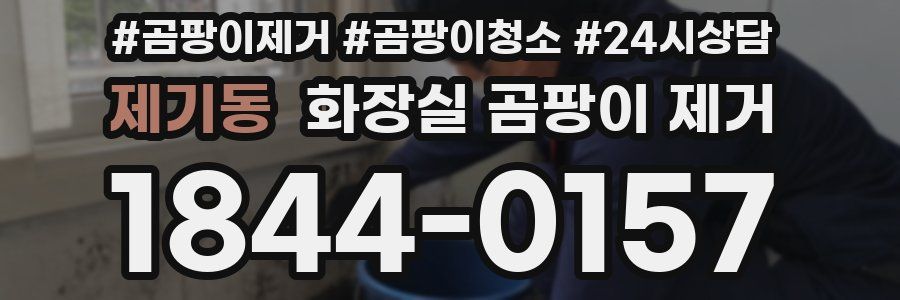 제기동 화장실 곰팡이 제거