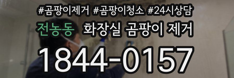 전농동 화장실 곰팡이 제거