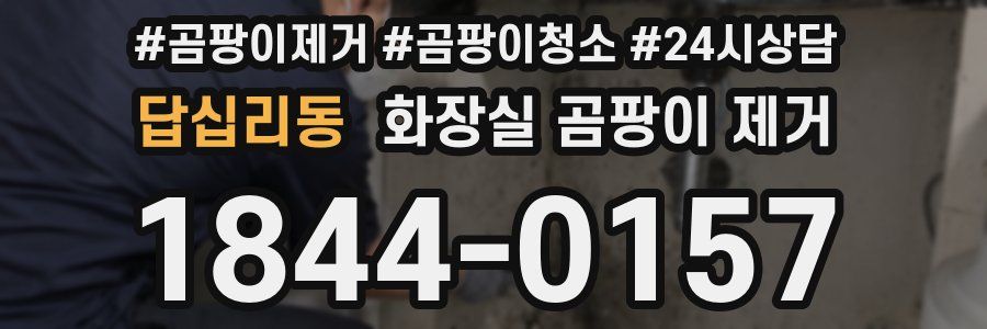 답십리동 화장실 곰팡이 제거