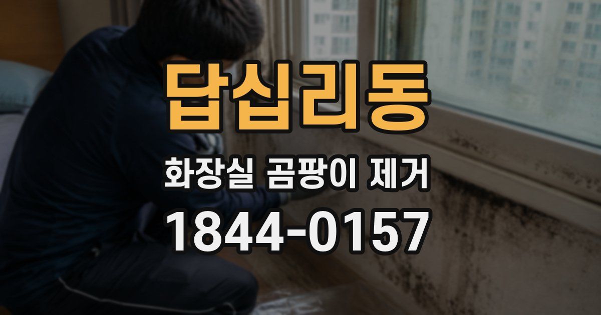답십리동 화장실 곰팡이 제거