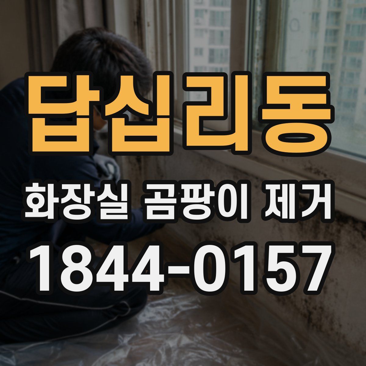 답십리동 화장실 곰팡이 제거