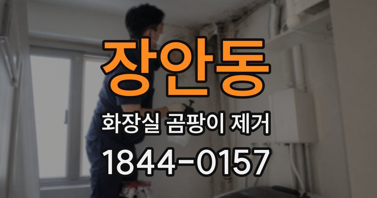 장안동 화장실 곰팡이 제거