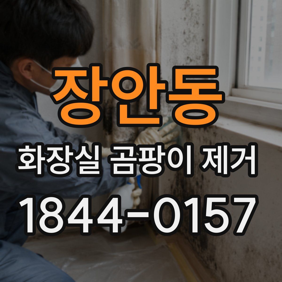 장안동 화장실 곰팡이 제거