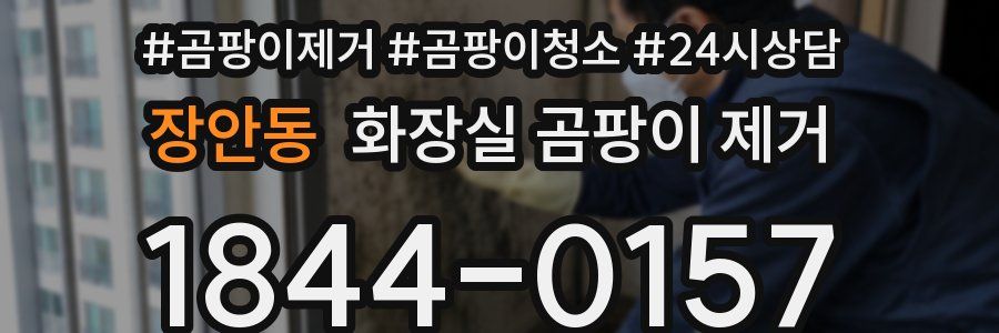 장안동 화장실 곰팡이 제거