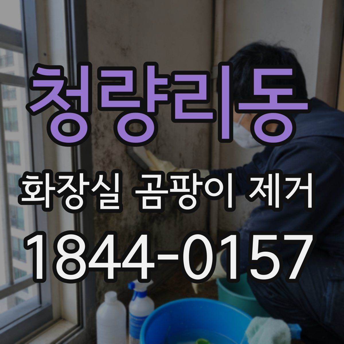 청량리동 화장실 곰팡이 제거 깊게 스며든 줄눈 오염 처리 순서
