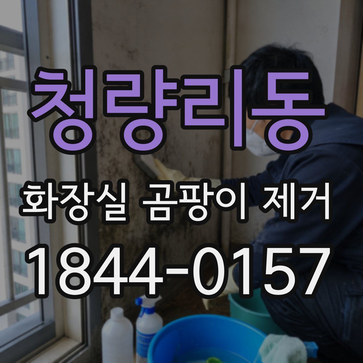 청량리동 화장실 곰팡이 제거