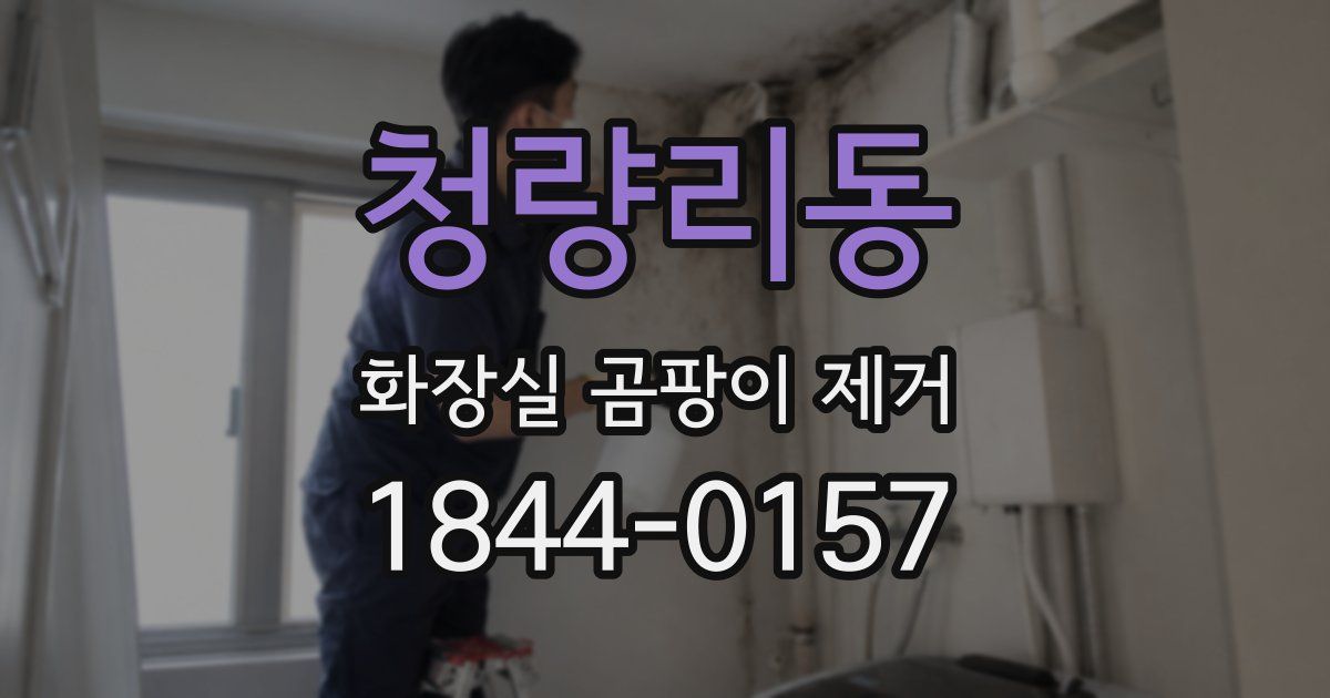 청량리동 화장실 곰팡이 제거