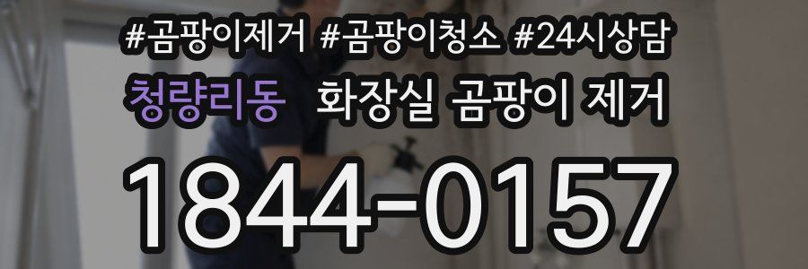 청량리동 화장실 곰팡이 제거