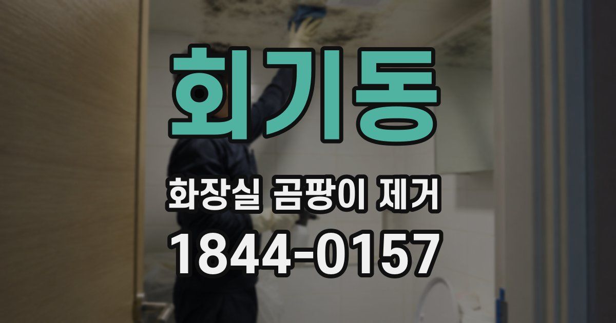 회기동 화장실 곰팡이 제거