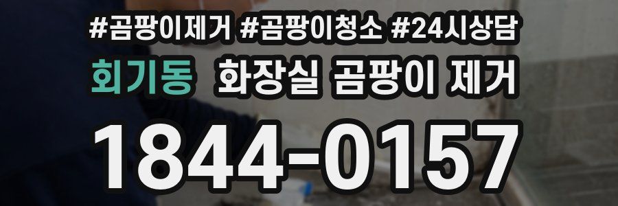 회기동 화장실 곰팡이 제거