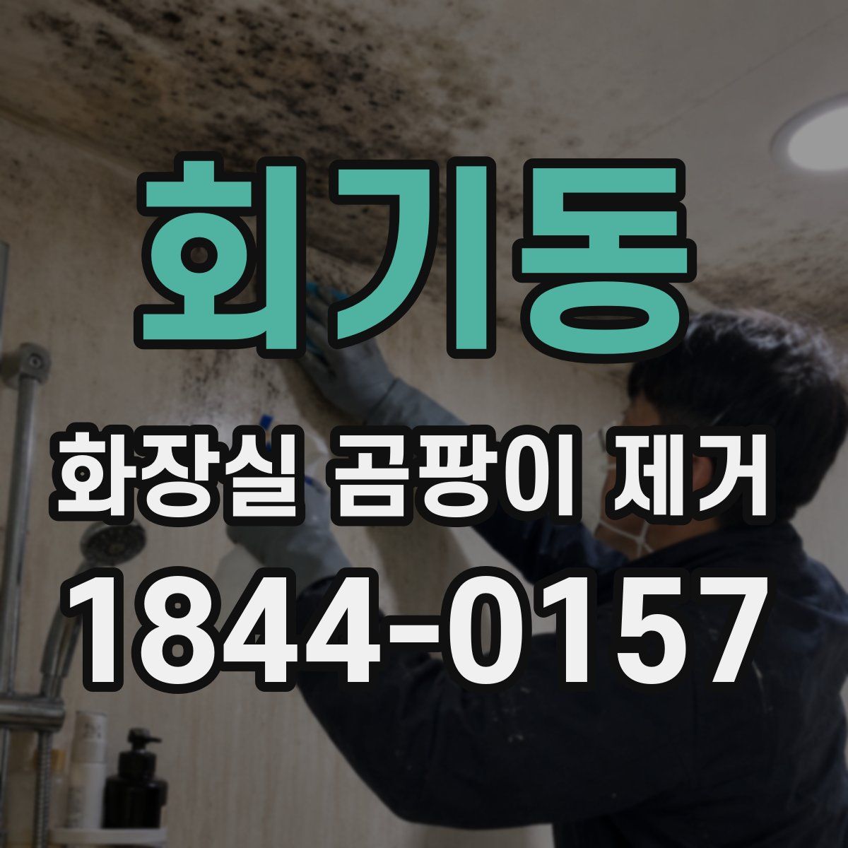 회기동 화장실 곰팡이 제거