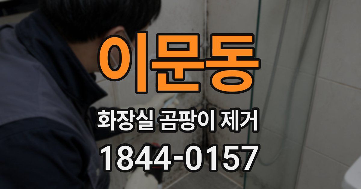 이문동 화장실 곰팡이 제거
