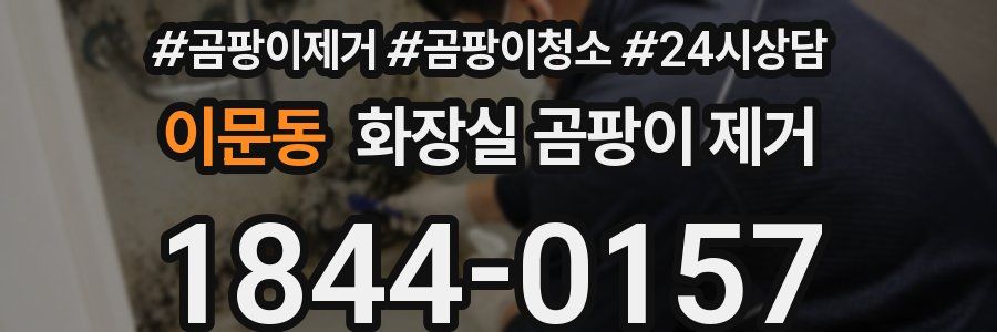 이문동 화장실 곰팡이 제거