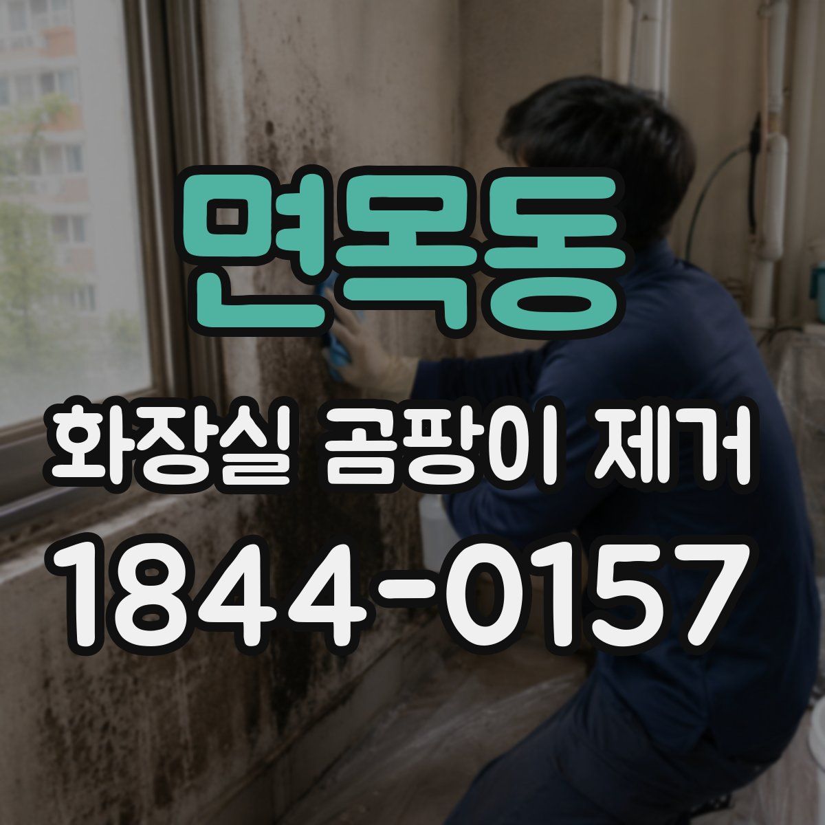 면목동 화장실 곰팡이 제거